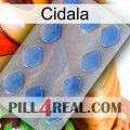 Cidala 21